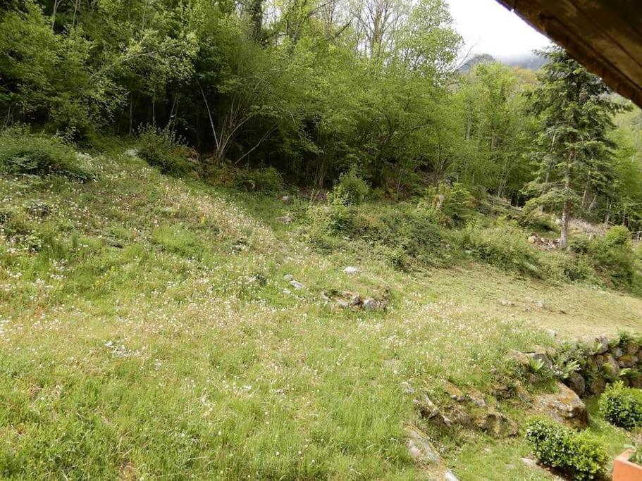 Apartment Cauterets. 4/6 Pers *